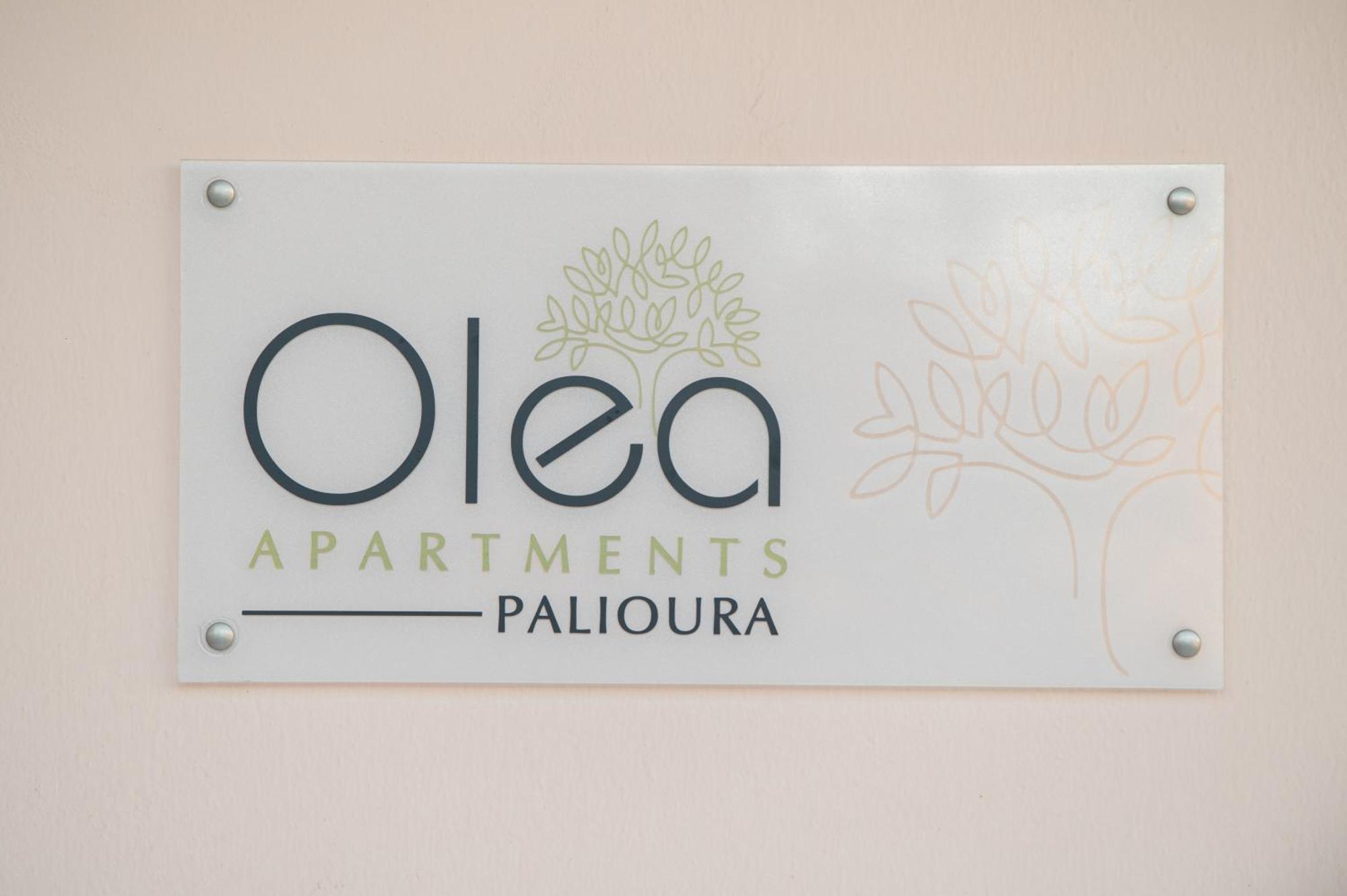 Olea Apartments Palioura 埃帕诺米 外观 照片