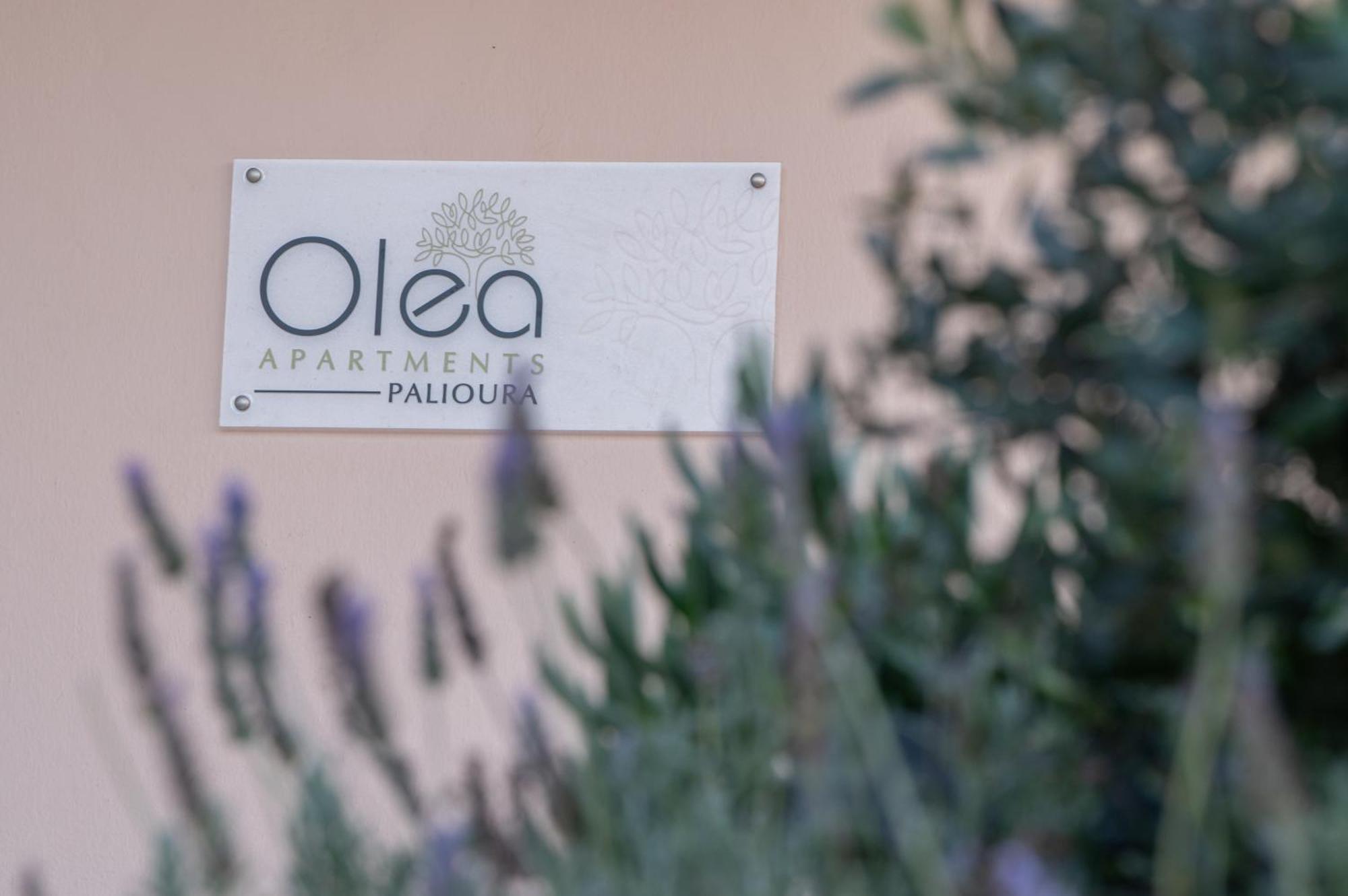 Olea Apartments Palioura 埃帕诺米 外观 照片